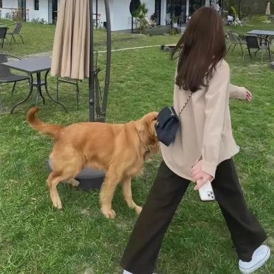 爱丽舍宫的女大厨